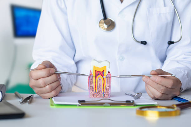 Best Emergency Treatment for Toothache in Monroe, WI